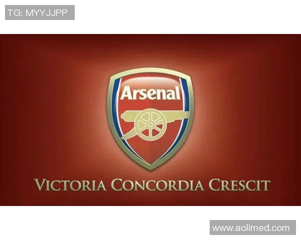 细数阿森纳五大高光时刻，满满回忆杀